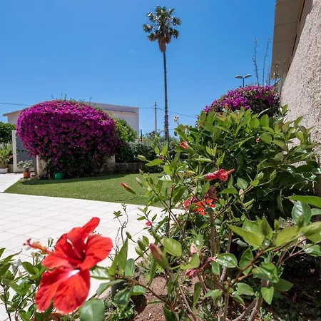 Venera Apartament *